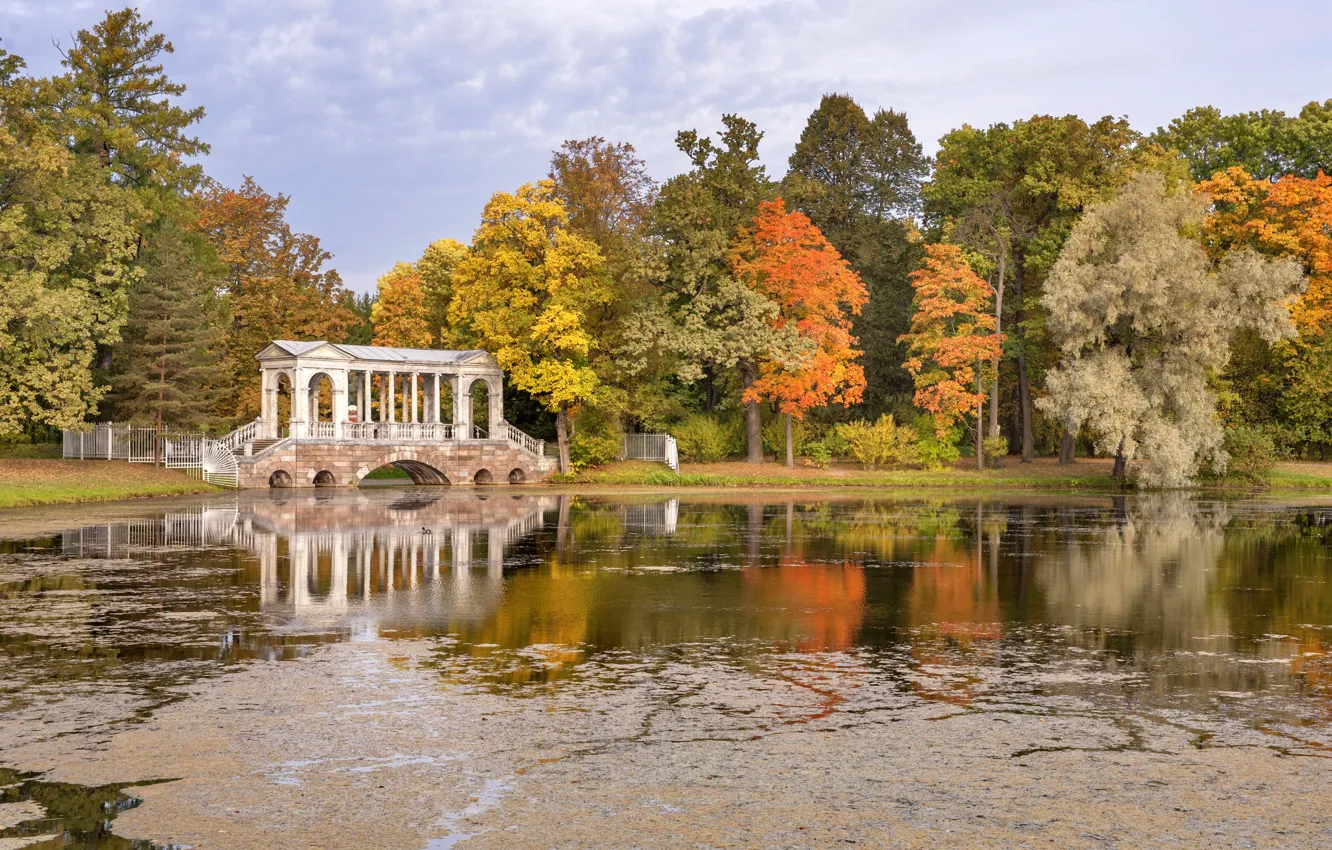 Photo wallpaper autumn, pond, Park, Russia, grove, Russia, autumn, pond