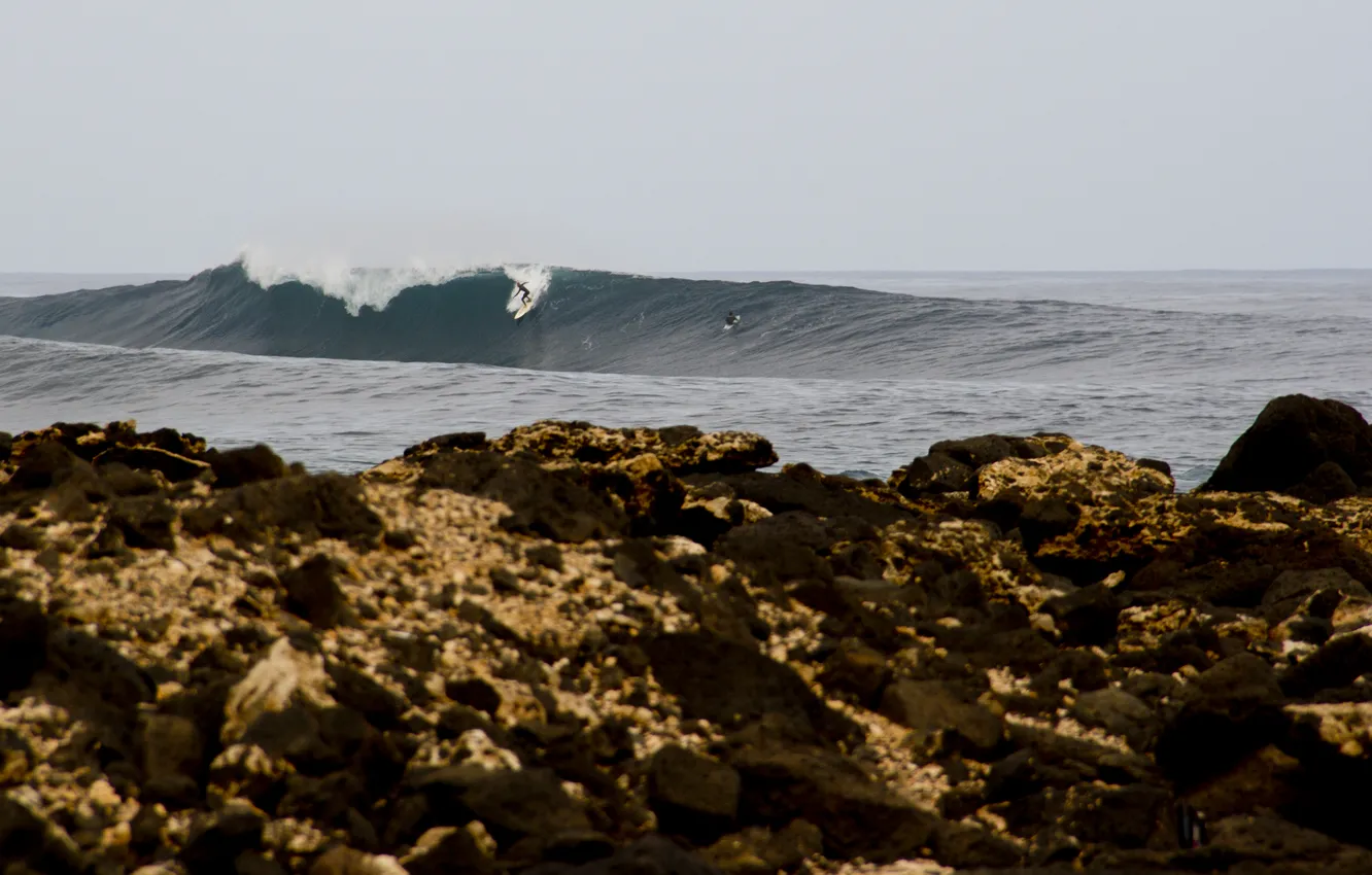 Photo wallpaper sea, wave, rocks, surfing, surfboards, rainy, surfers