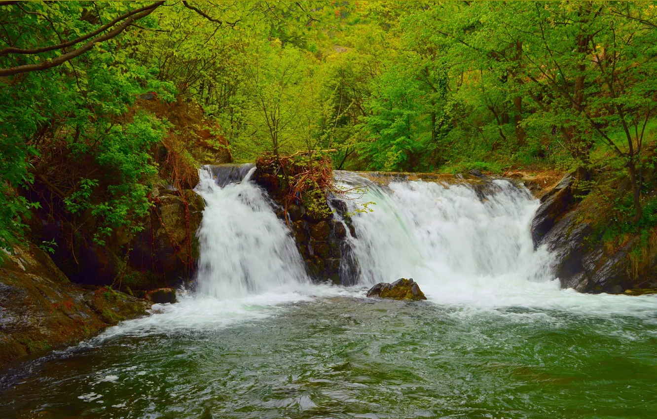 Wallpaper Greens, Nature, Spring, Waterfall, Nature, Green, Spring ...