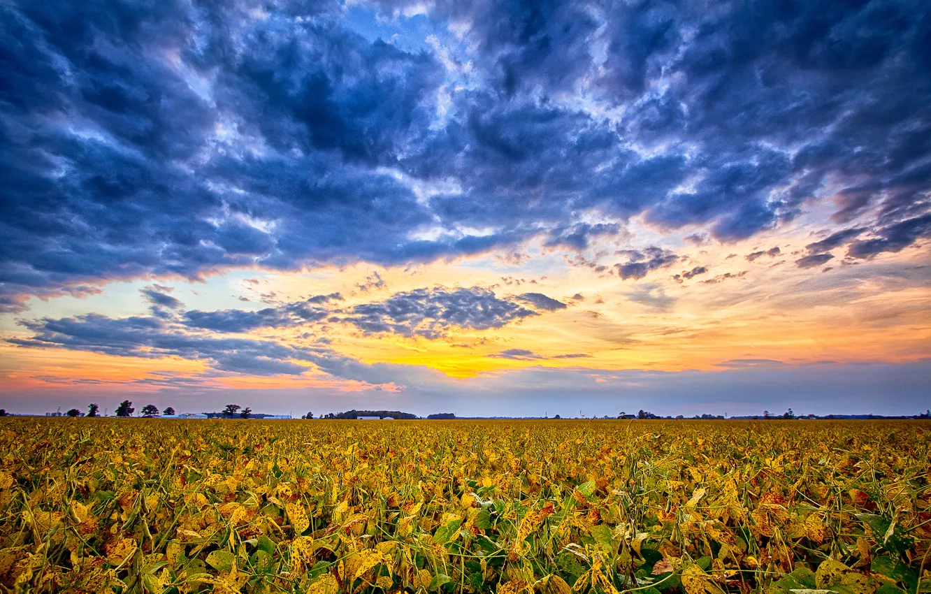 Photo wallpaper field, the sky, clouds, sunset, horizon, USA, Indiana