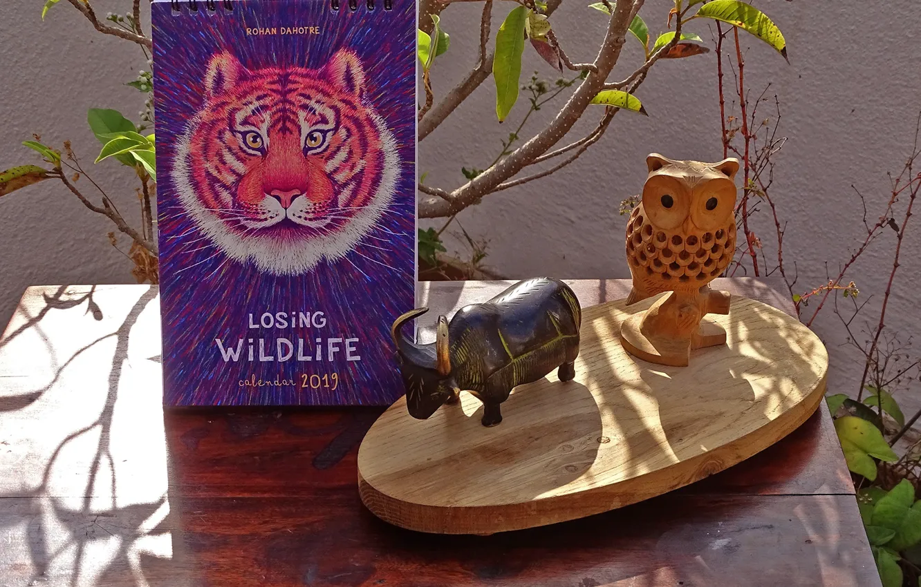 Photo wallpaper plant, calendar, table, CALENDAR 2019, LOSING WILDLIFE