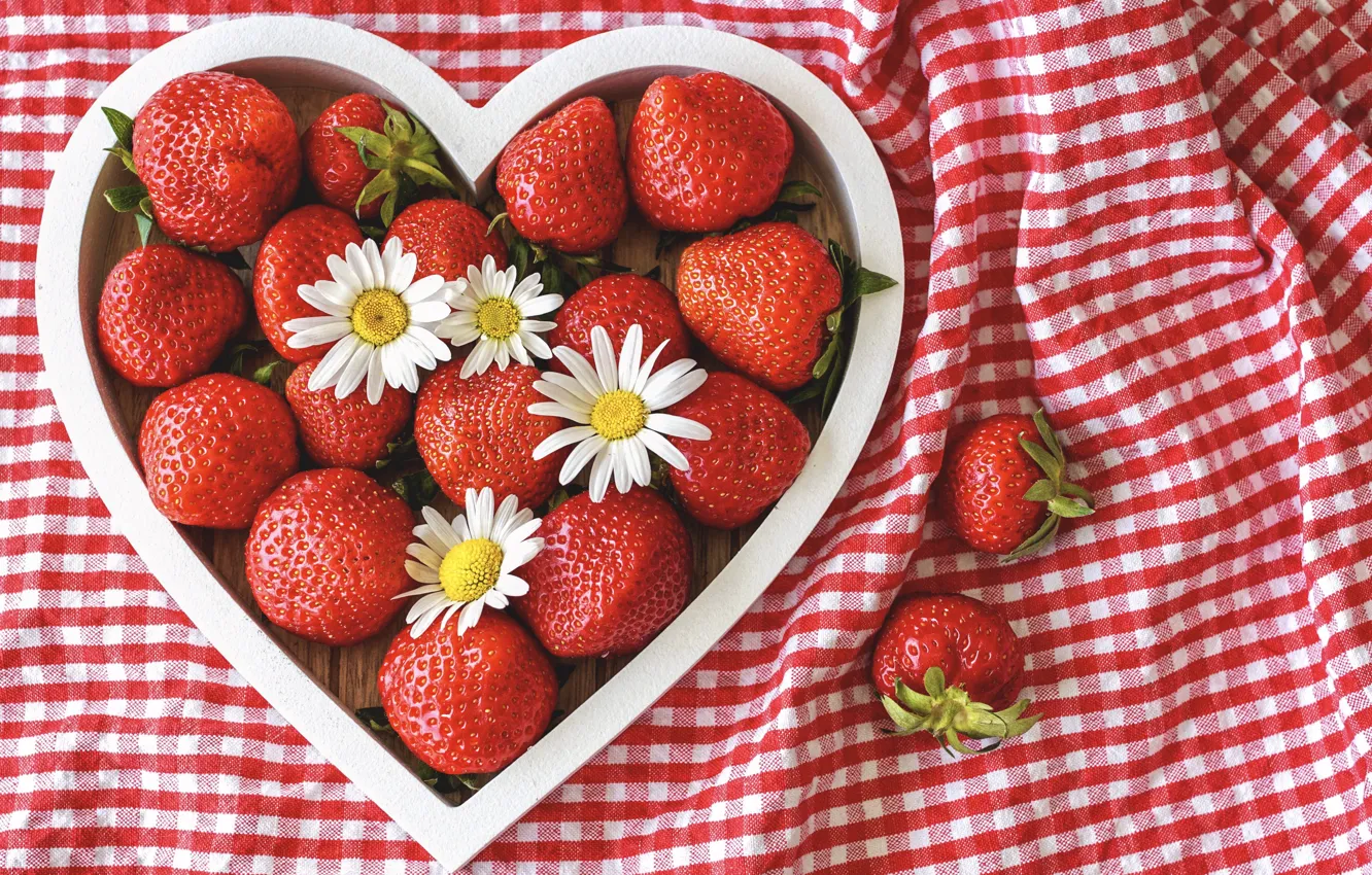 Photo wallpaper flowers, berries, chamomile, strawberry, strawberry, camomiles
