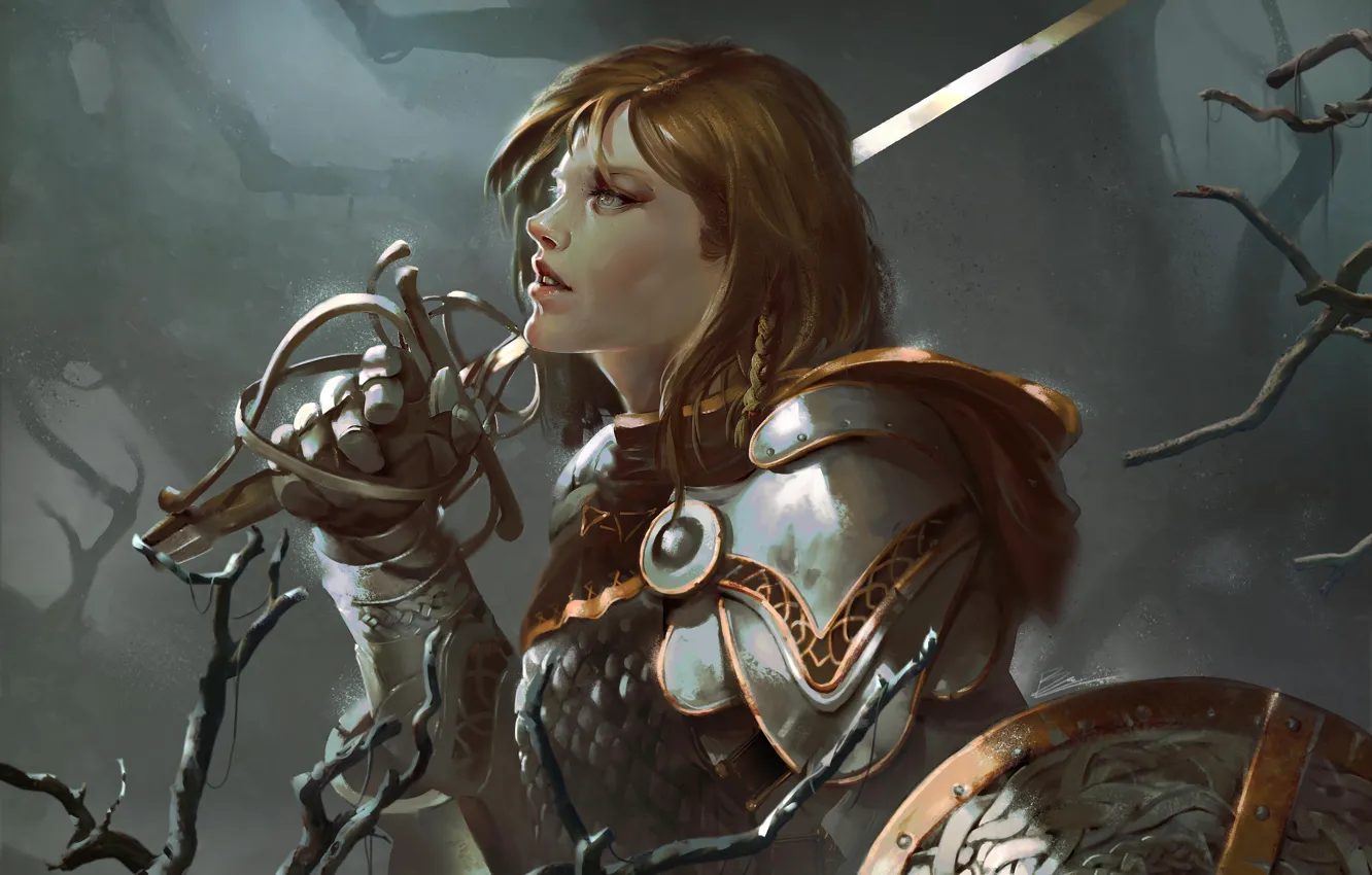 Photo wallpaper girl, weapons, sword, shield, armor, rapier
