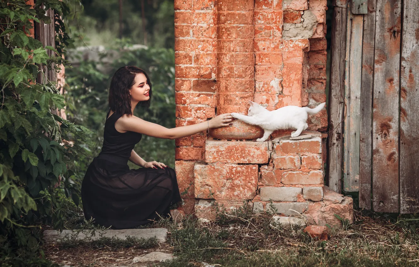 Photo wallpaper cat, cat, look, girl, smile, wall, the building, touch