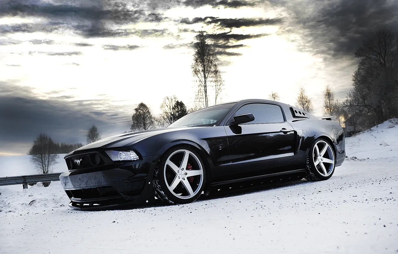 Photo wallpaper winter, the sky, snow, trees, clouds, black, mustang, Mustang