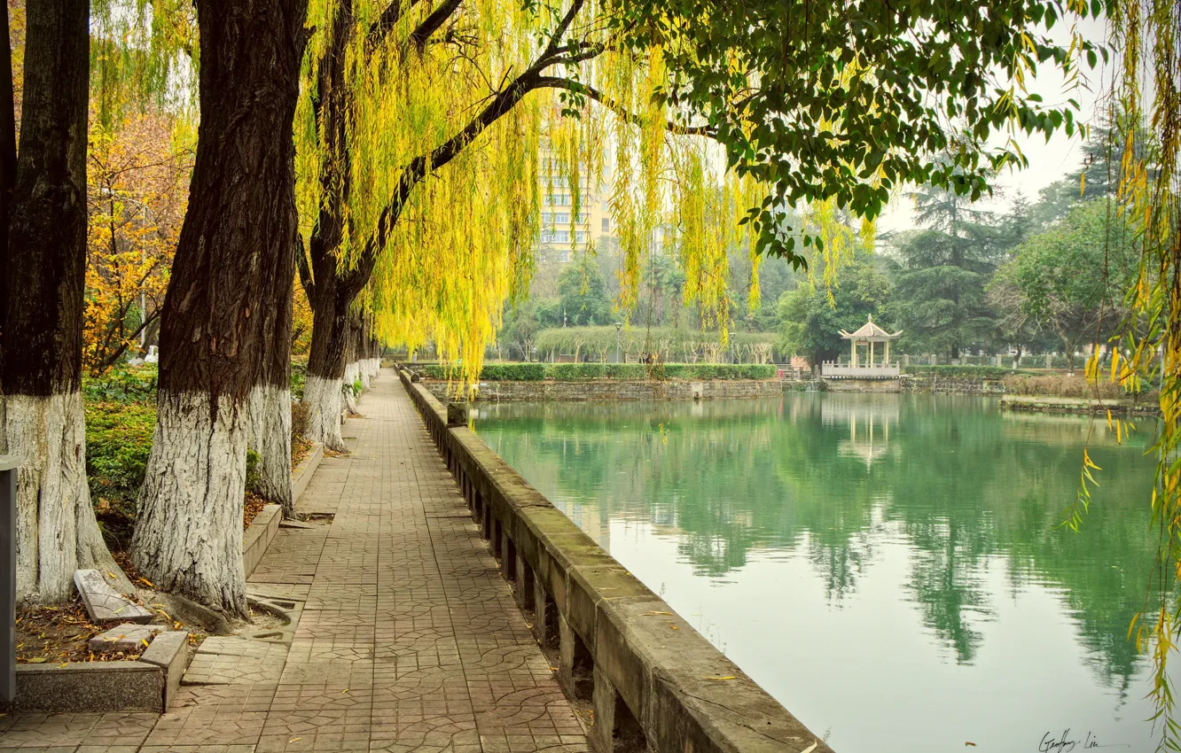 Photo wallpaper autumn, trees, pond, Park, China, China, Chengdu, Chengdu