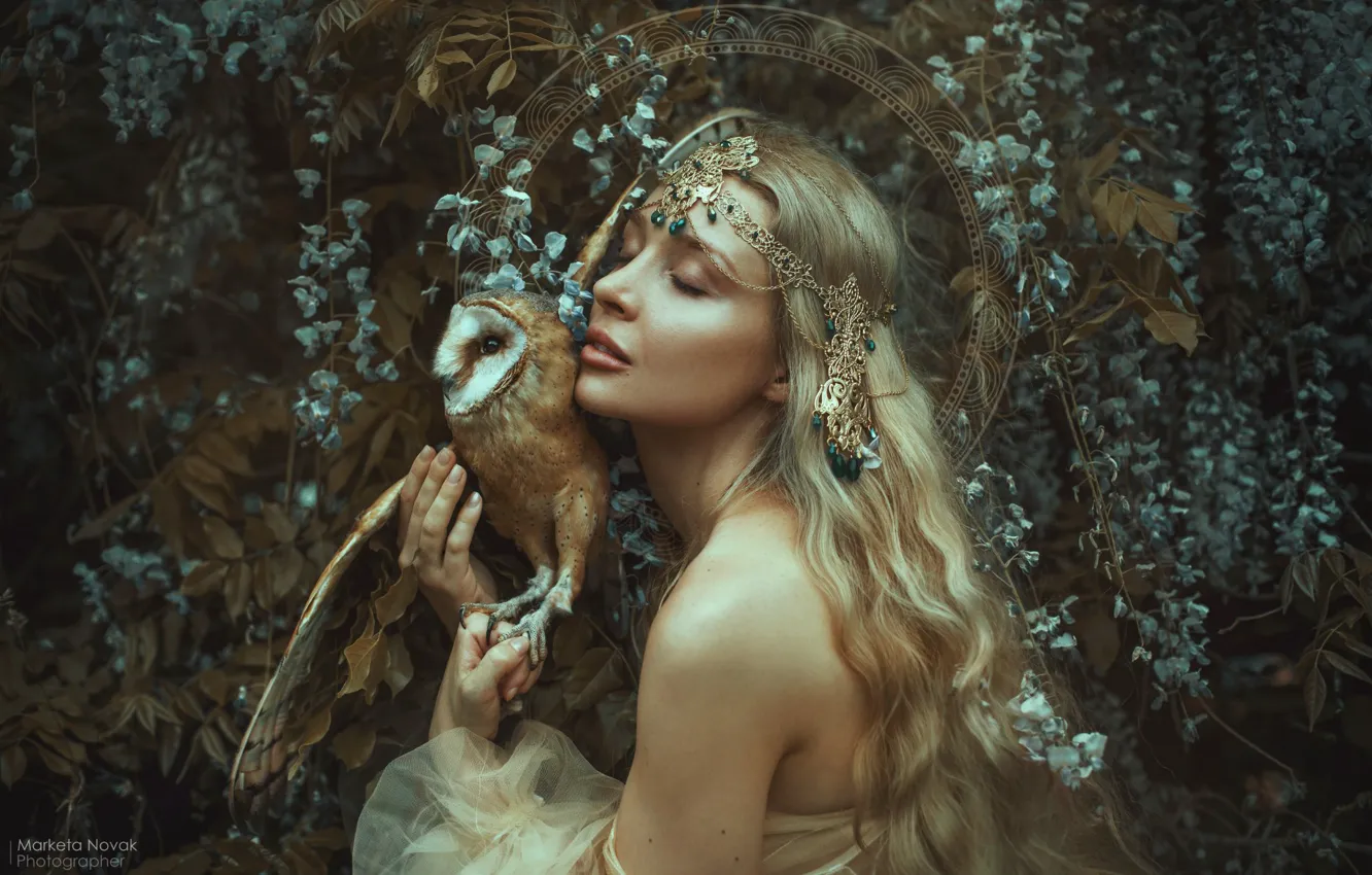 Photo wallpaper girl, pose, mood, owl, bird, blonde, shoulders, long hair