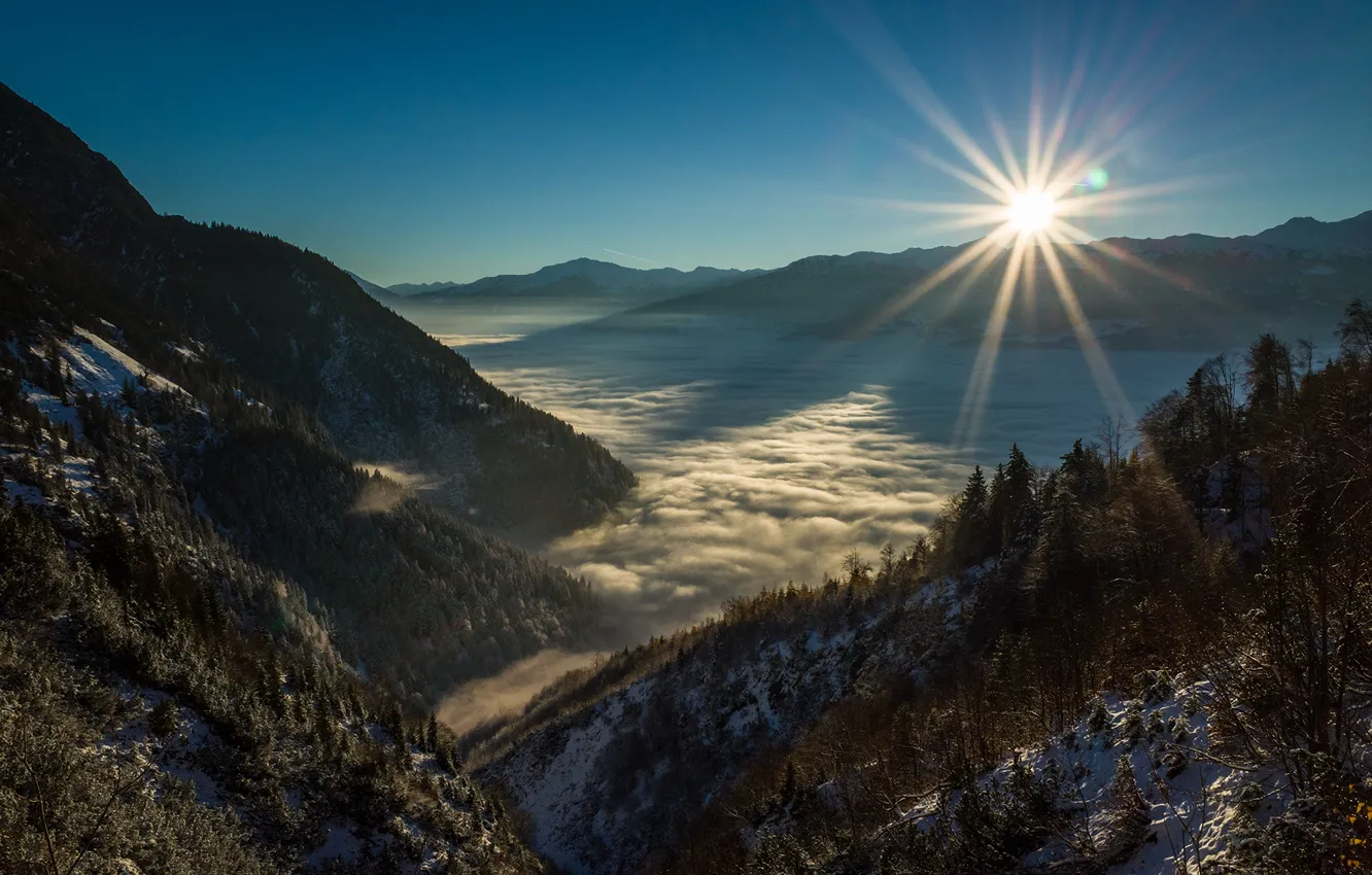 Photo wallpaper trees, sunset, mountains, snow, fog