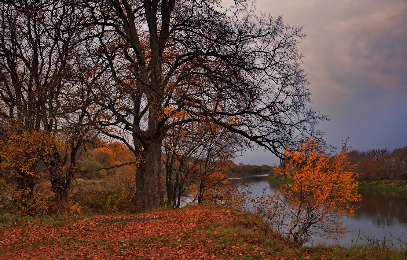 Photo wallpaper clouds, nature, river, the autumn sky