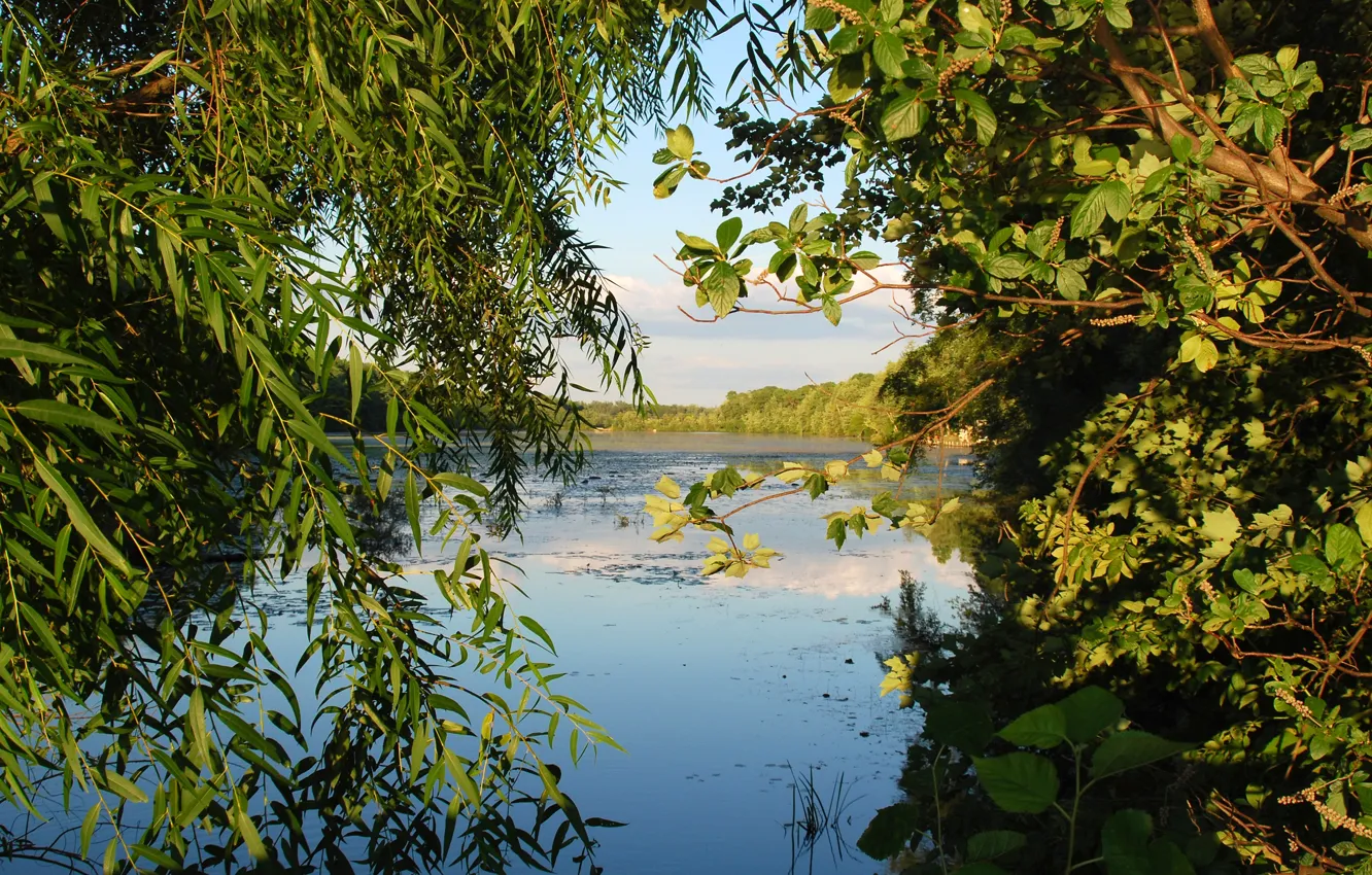 Photo wallpaper water, trees, landscape, lake, river