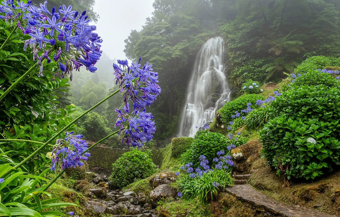 Photo wallpaper forest, flowers, stream, waterfall, Portugal, cascade, path, Portugal