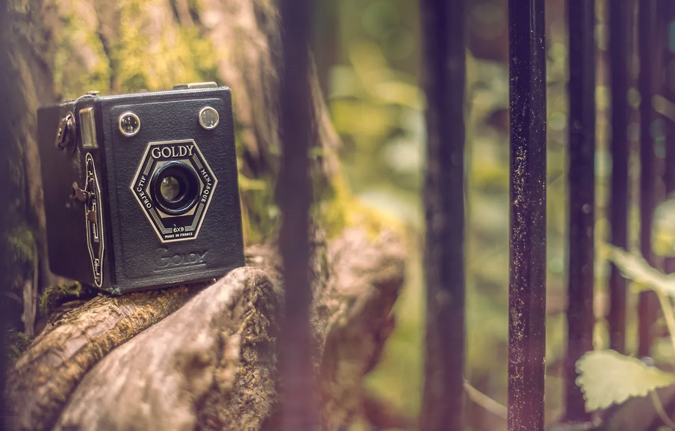 Photo wallpaper nature, stones, background, mood, widescreen, Wallpaper, the fence, camera