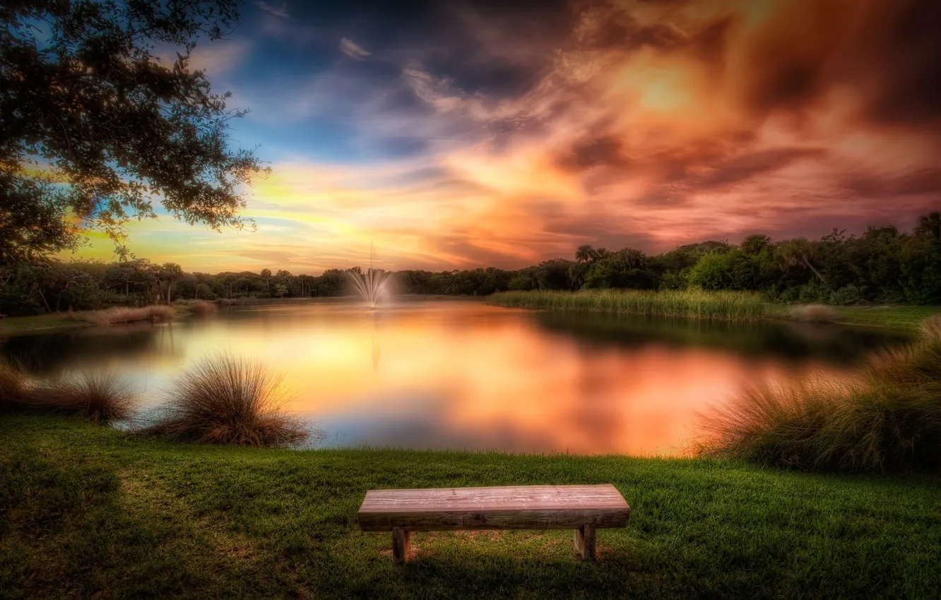 Photo wallpaper forest, sunset, lake, glow, fountain, forest, sunset, glow