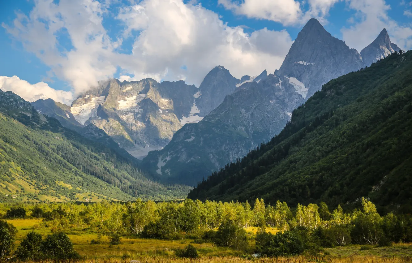 Photo wallpaper the sky, clouds, trees, mountains, nature, North Caucasus, Mountain peaks, Gonachhir Chotcha