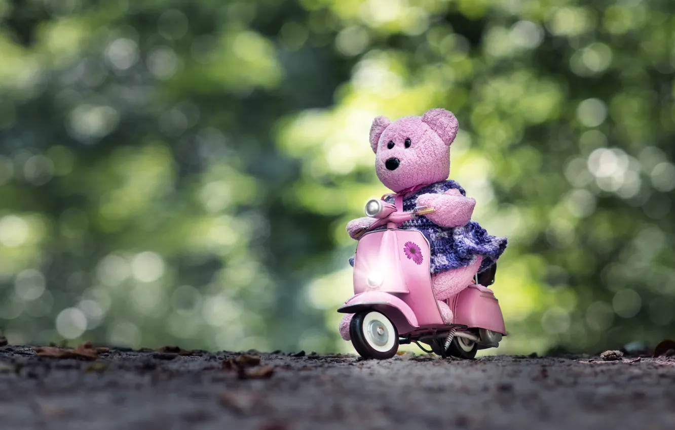 Photo wallpaper mood, toy, bear, bear, scooter, bokeh, scooter