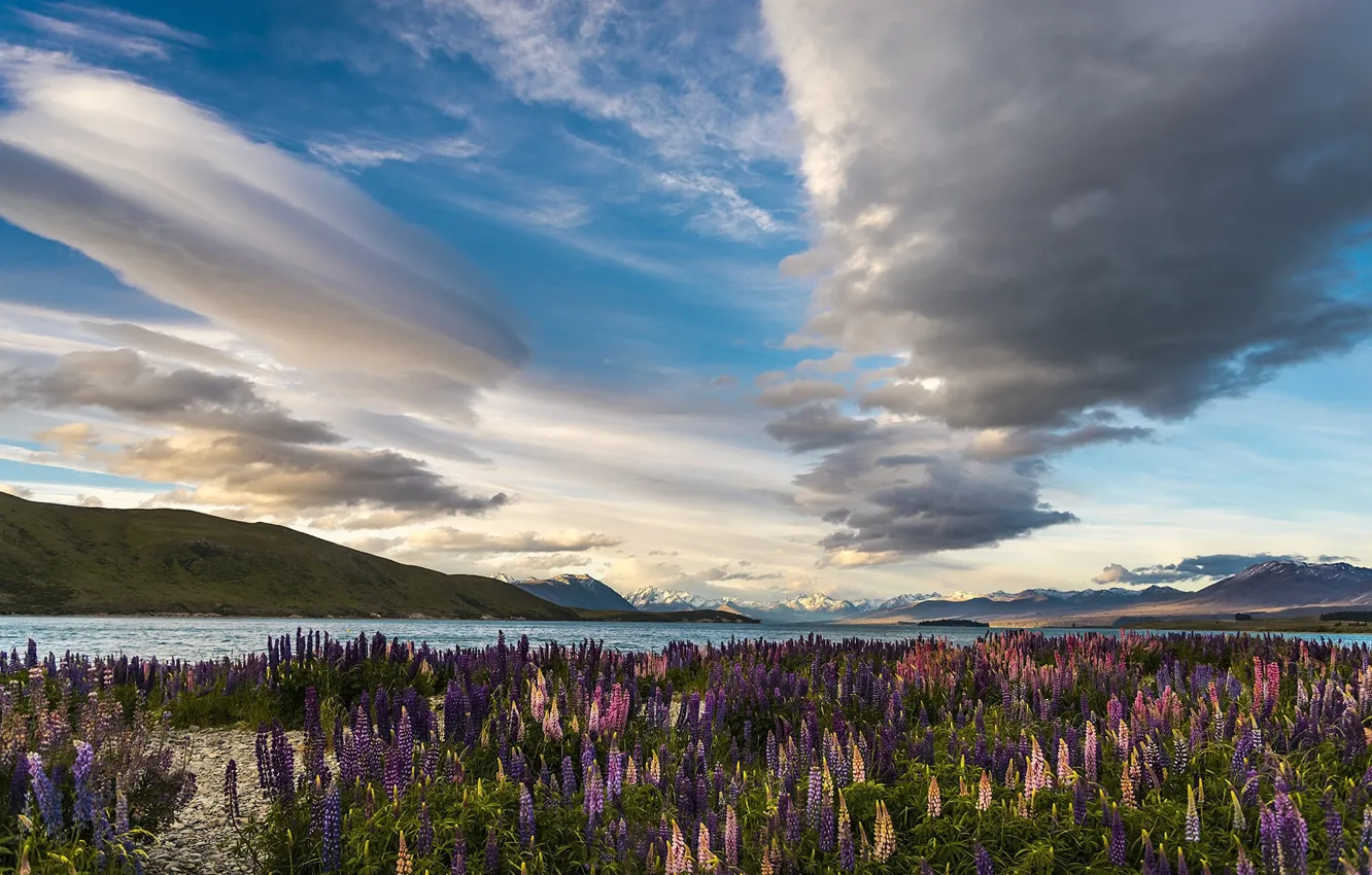Photo wallpaper field, summer, the sky, clouds, flowers, mountains, clouds, lake