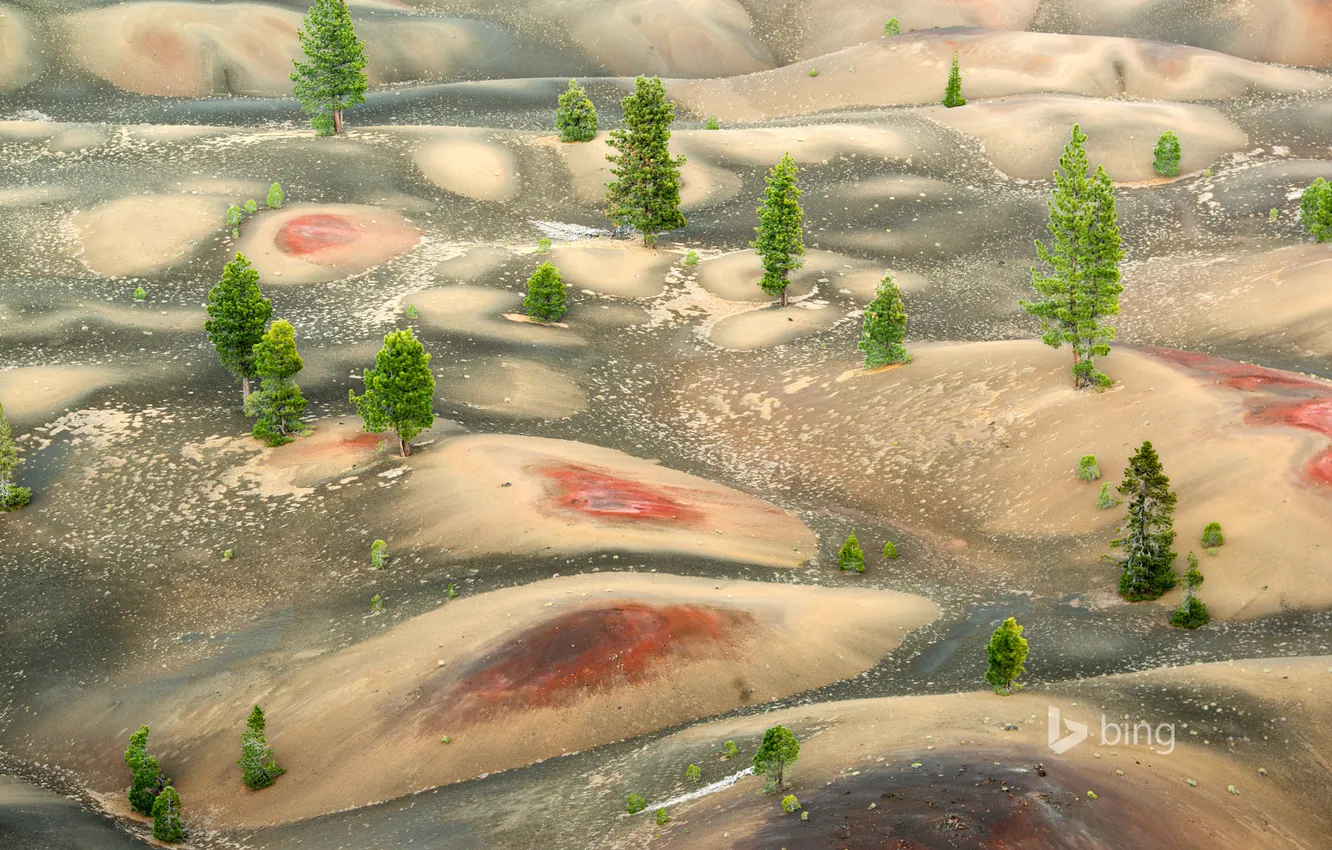 Photo wallpaper trees, hills, dunes, CA, USA, Lassen Volcanic National Park