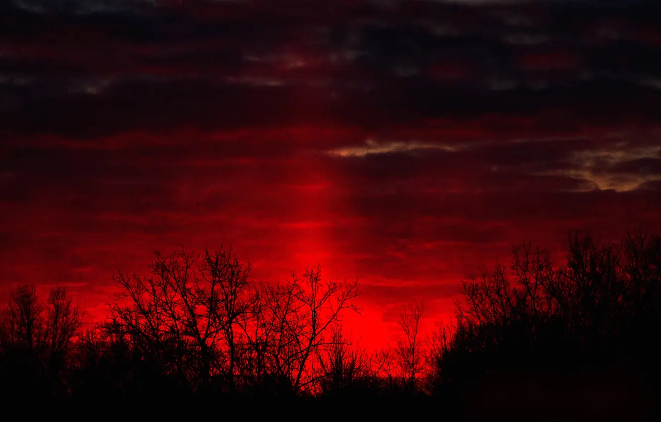 Photo wallpaper clouds, trees, silhouette, glow, the bushes