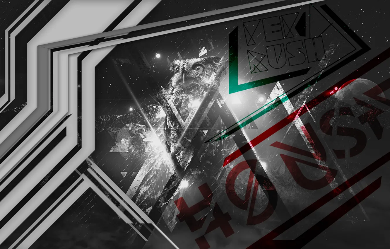 Photo wallpaper red, green, darkness, green, owl, dark, red, glass