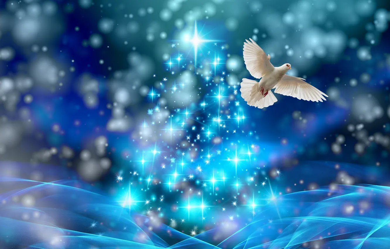 Photo wallpaper dove, spruce, Christmas, stars