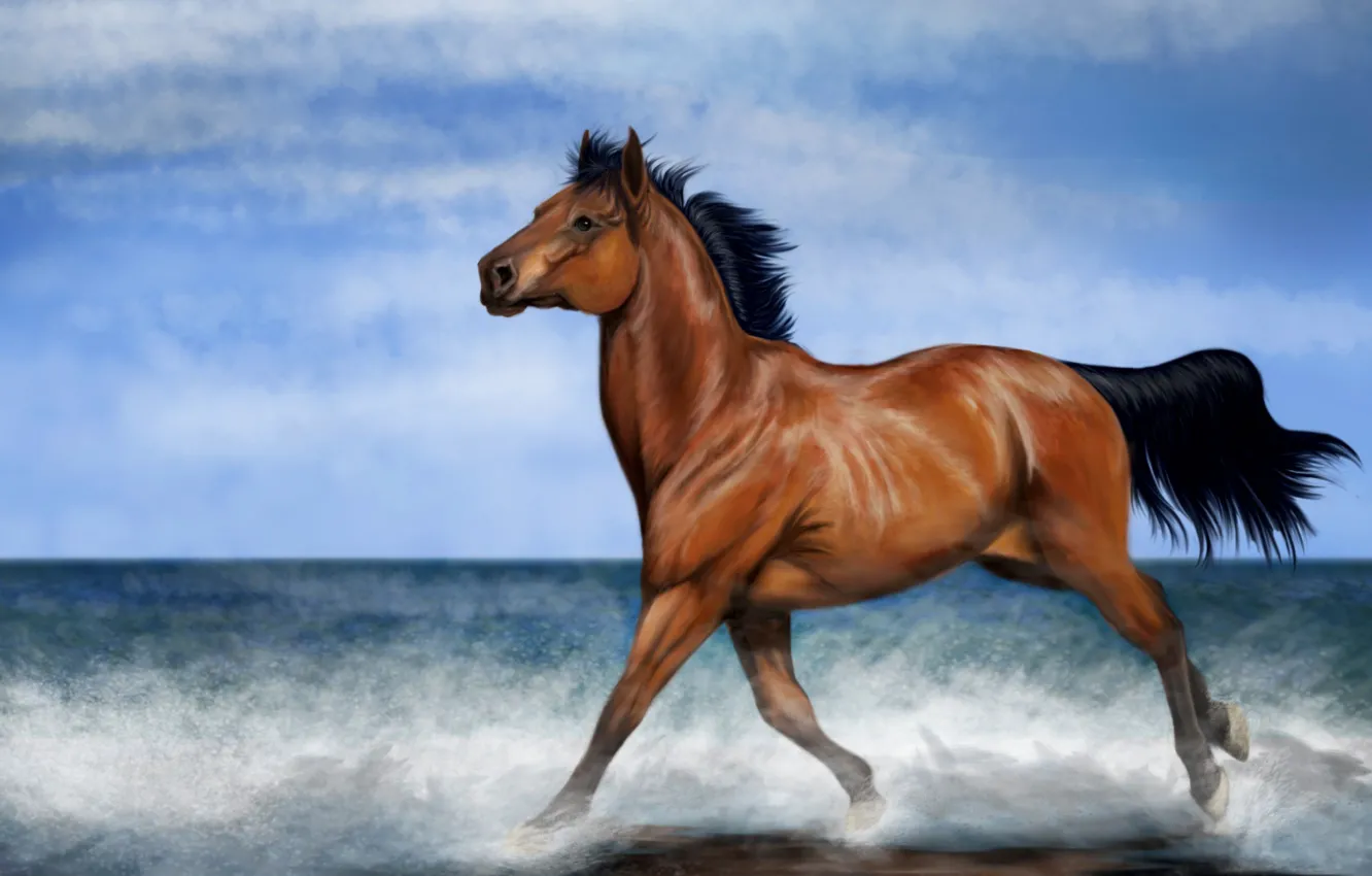 Photo wallpaper landscape, horse, running