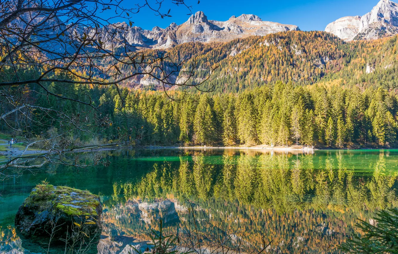 Photo wallpaper forest, mountains, lake, Italy, Trentino Alto Adige, Lago di Tovel