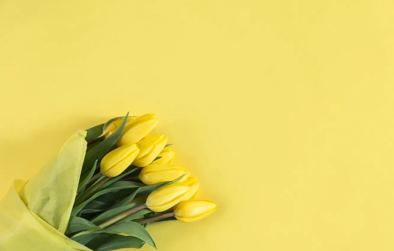 Photo wallpaper flowers, background, bouquet, yellow, tulips