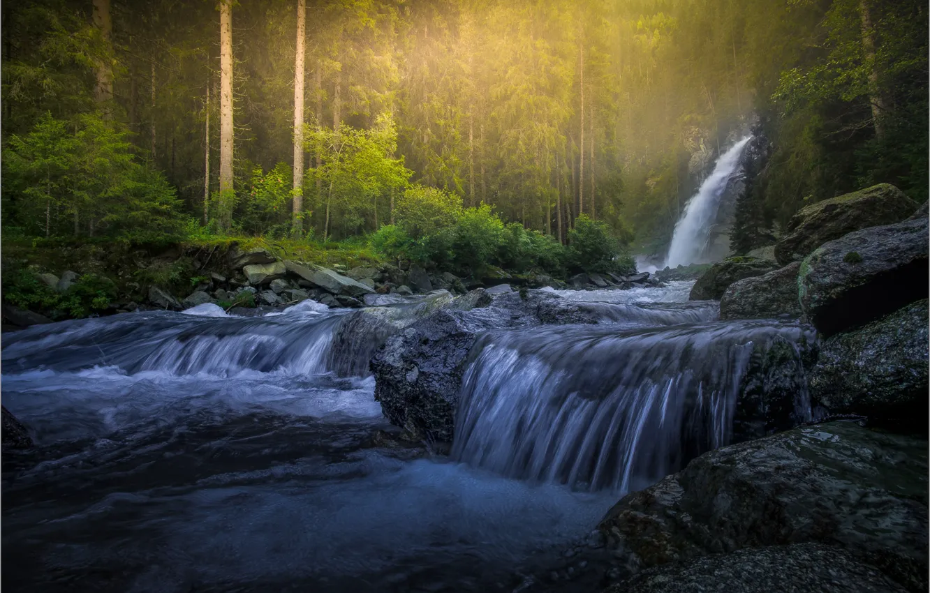 Photo wallpaper forest, light, river, stones, shore, waterfall, stream, pine