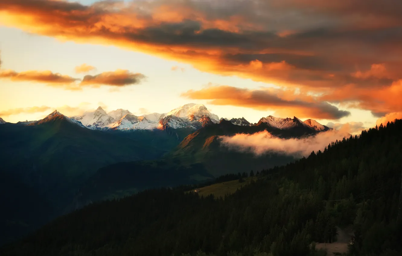 Photo wallpaper forest, the sky, clouds, sunset, mountains, Alps, Alps