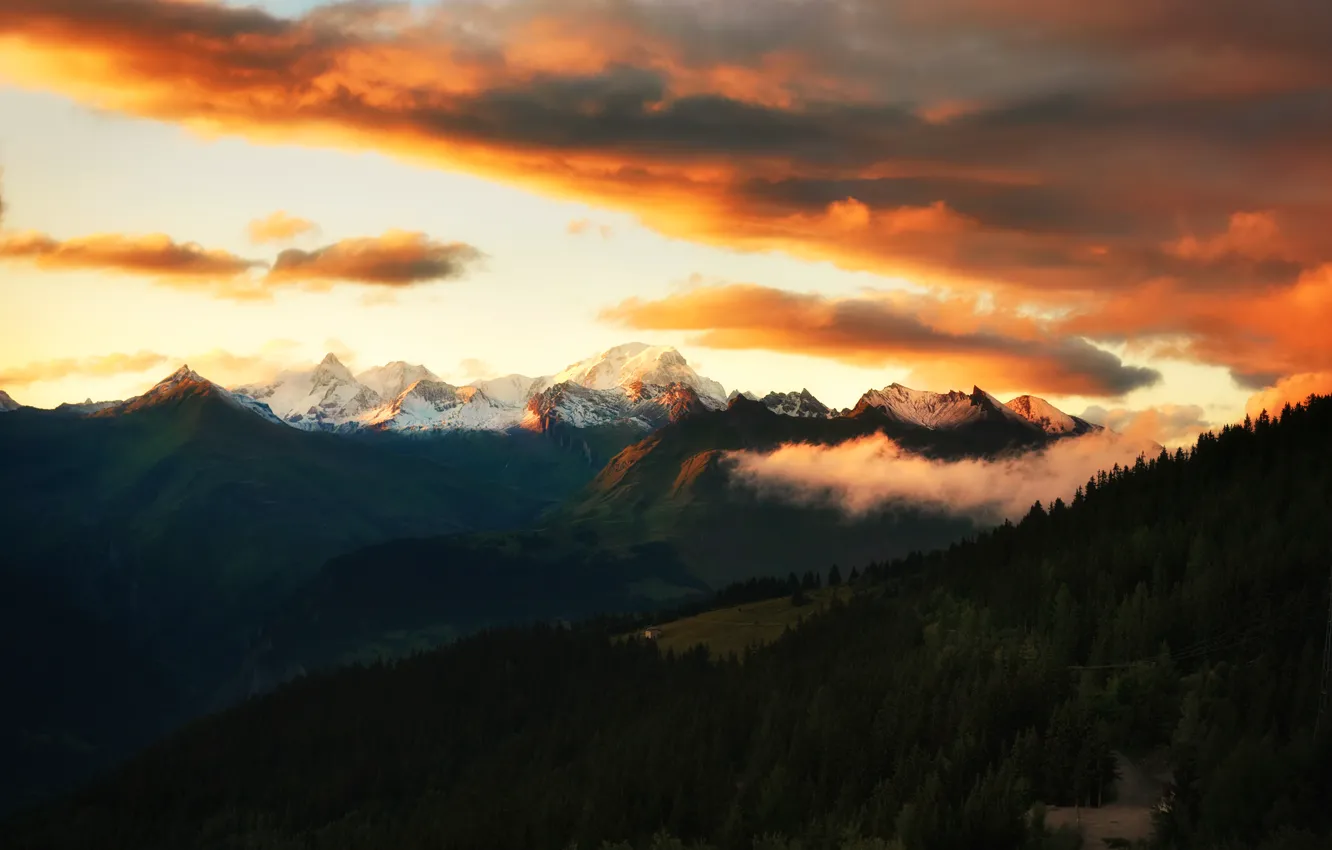 Photo wallpaper the sky, clouds, sunset, mountains, forest, Alps, alps