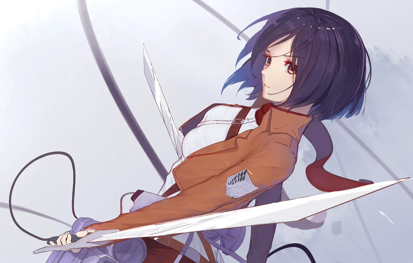 Photo wallpaper anime, art, Shingeki no Kyojin, Attack Of The Titans, The Invasion Of The Giants, Mikasa …