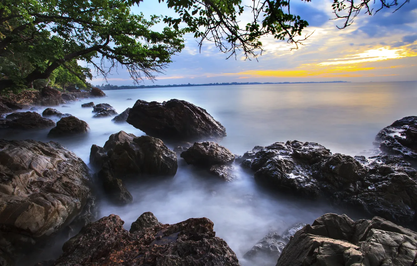 Photo wallpaper sea, trees, stones, shore
