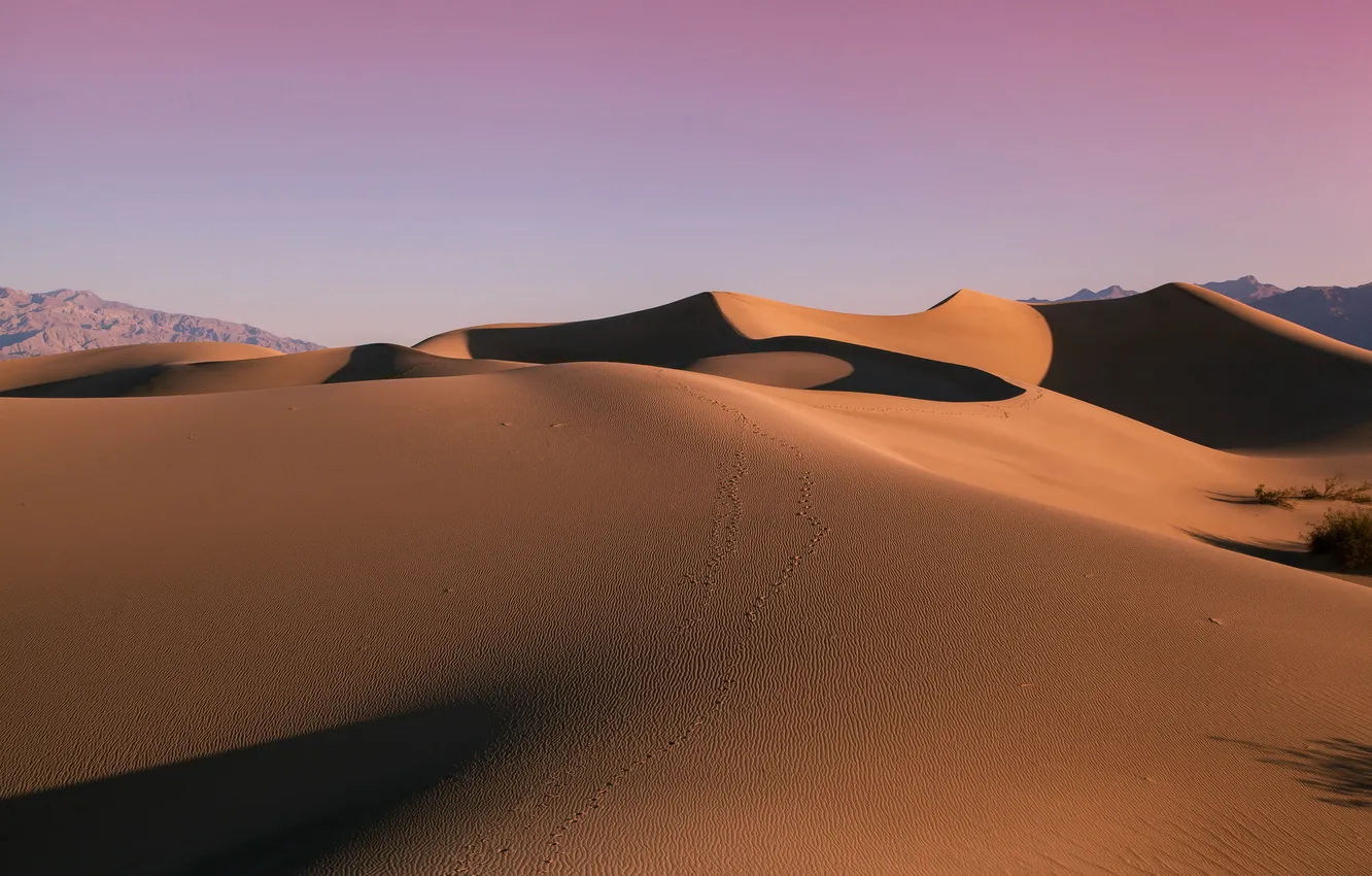 Photo wallpaper sand, landscape, desert, dunes