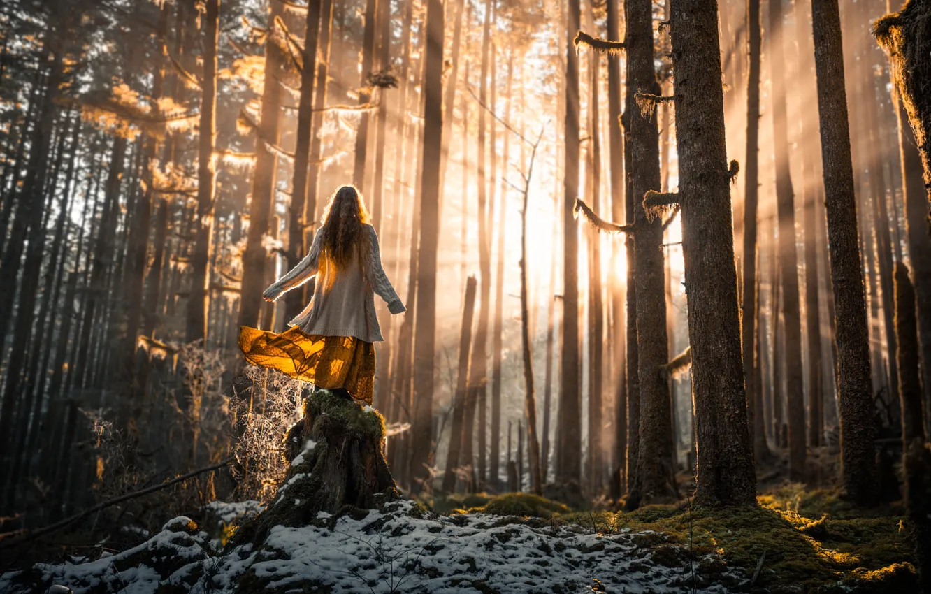 Photo wallpaper forest, girl, rays, light