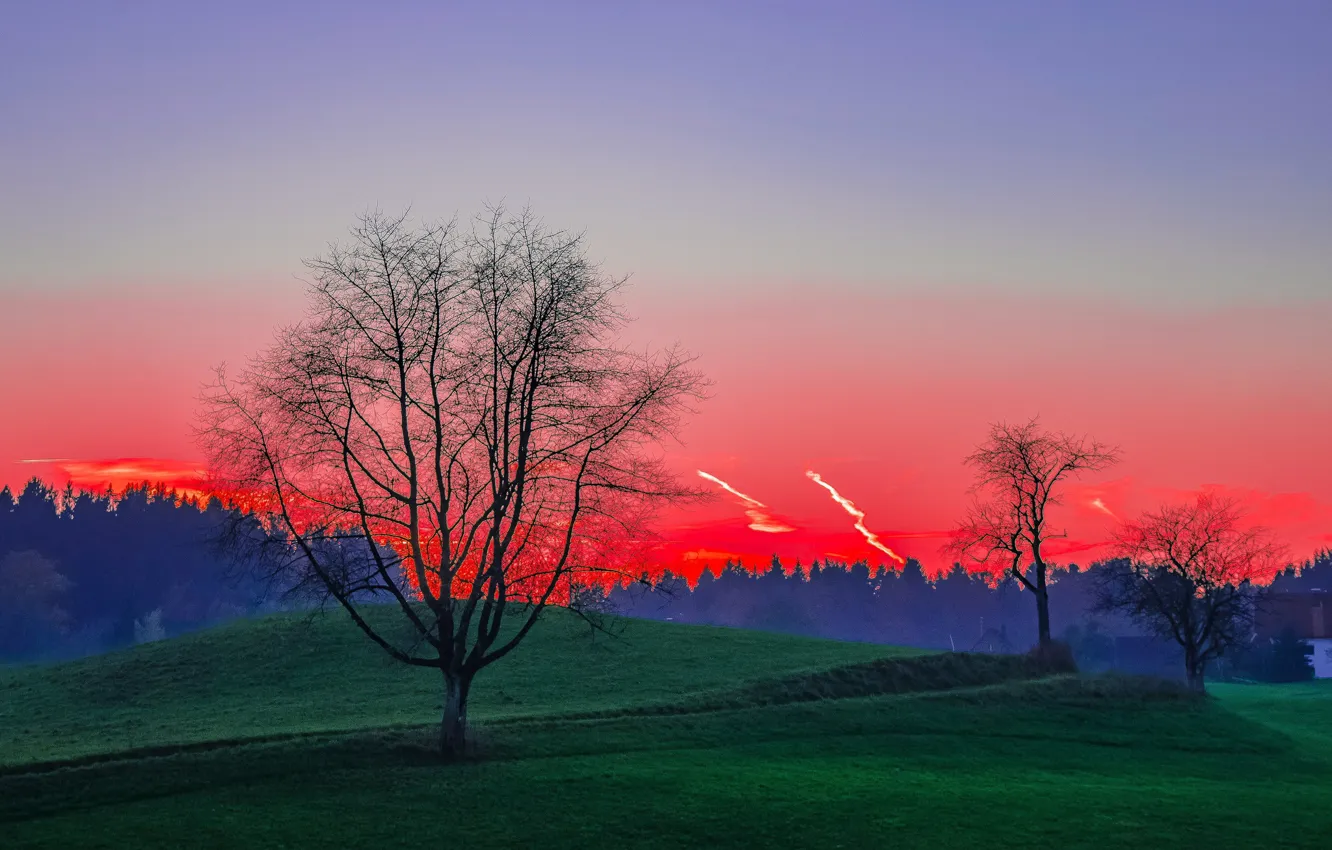 Photo wallpaper trees, hills, glow