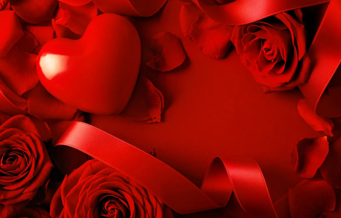 Photo wallpaper flowers, rose, tape, red, heart, Valentine's day