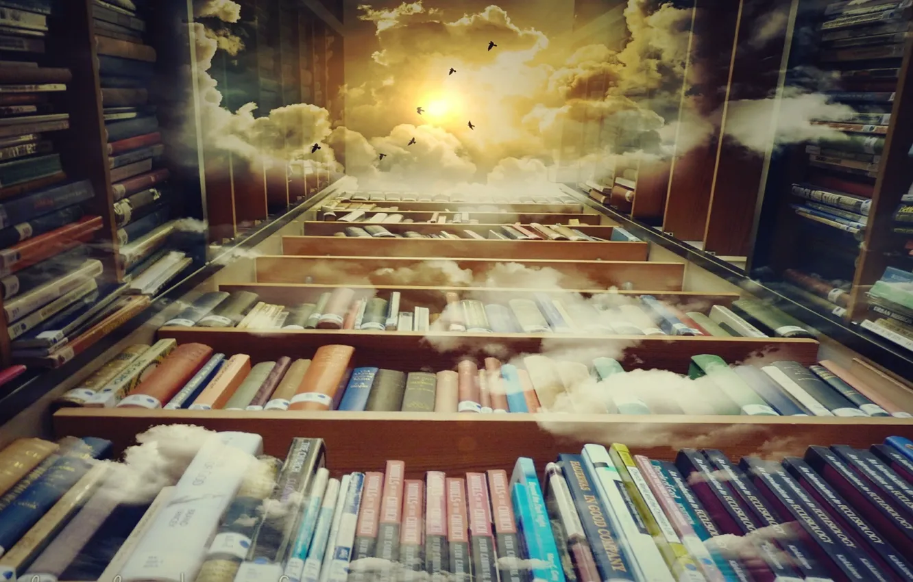 Photo wallpaper clouds, birds, sun, story, dreams, reading, books, library