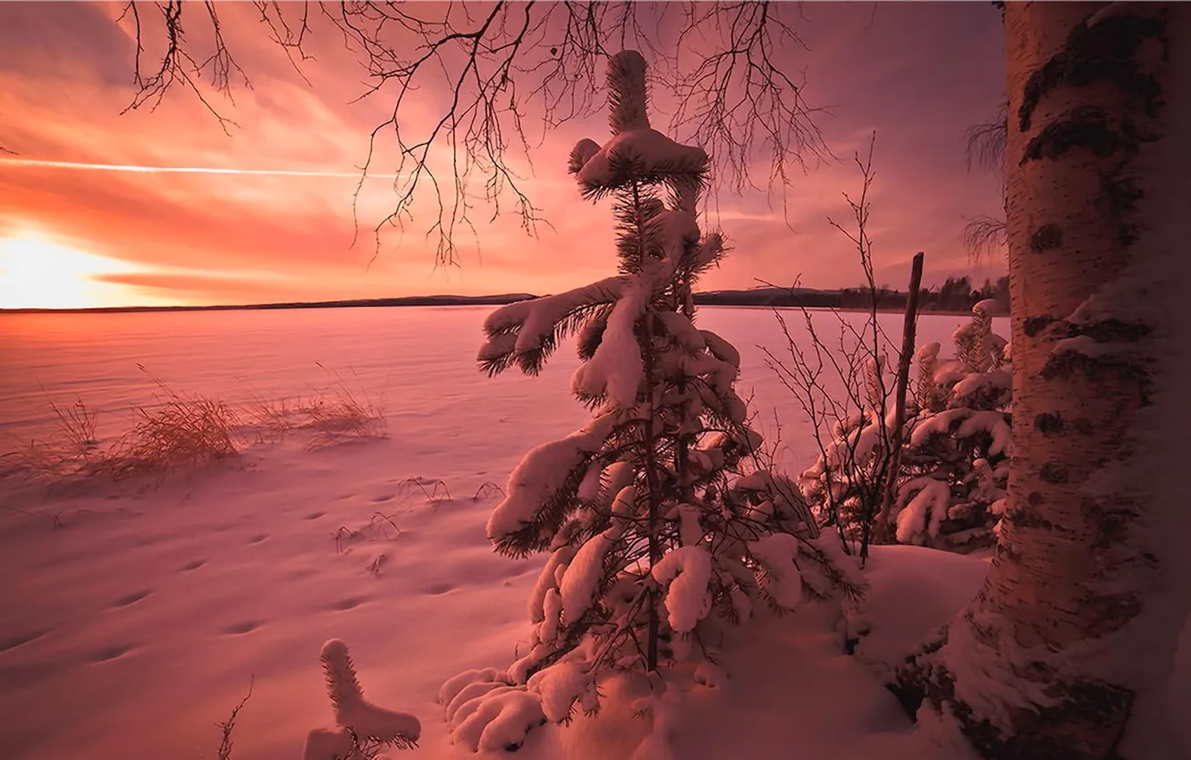 Photo wallpaper winter, the sky, clouds, snow, trees, sunset
