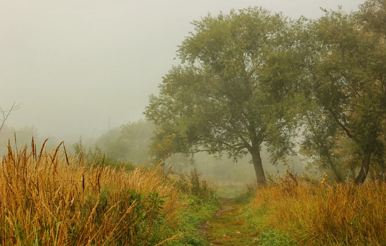 Photo wallpaper autumn, landscape, nature