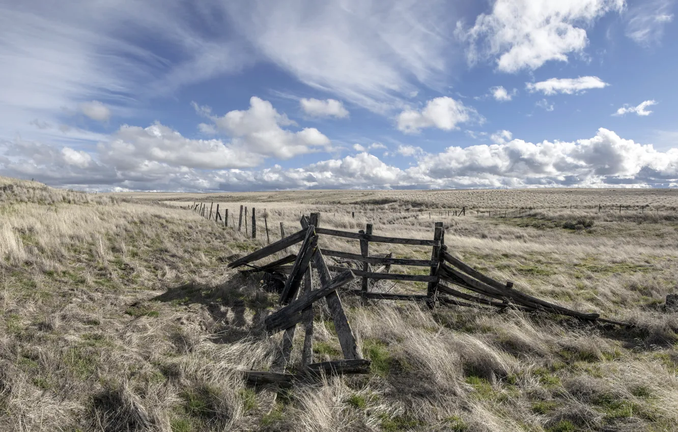 Photo wallpaper field, the sky, the fence