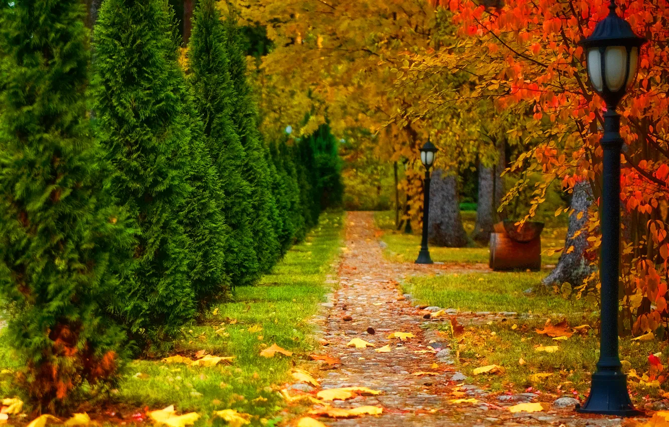 Photo wallpaper road, autumn, leaves, trees, landscape, nature, lantern
