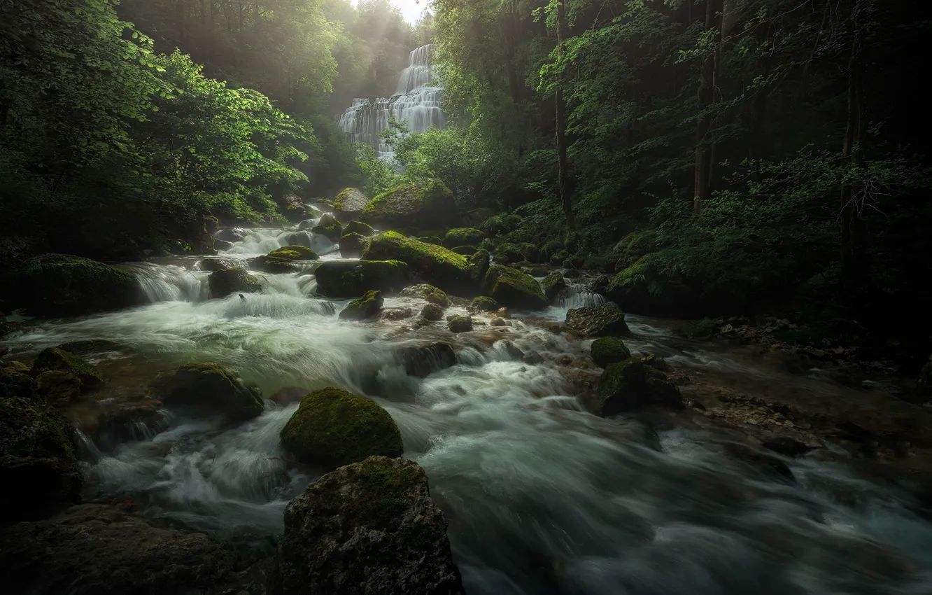 Photo wallpaper forest, nature, river, stones, waterfall