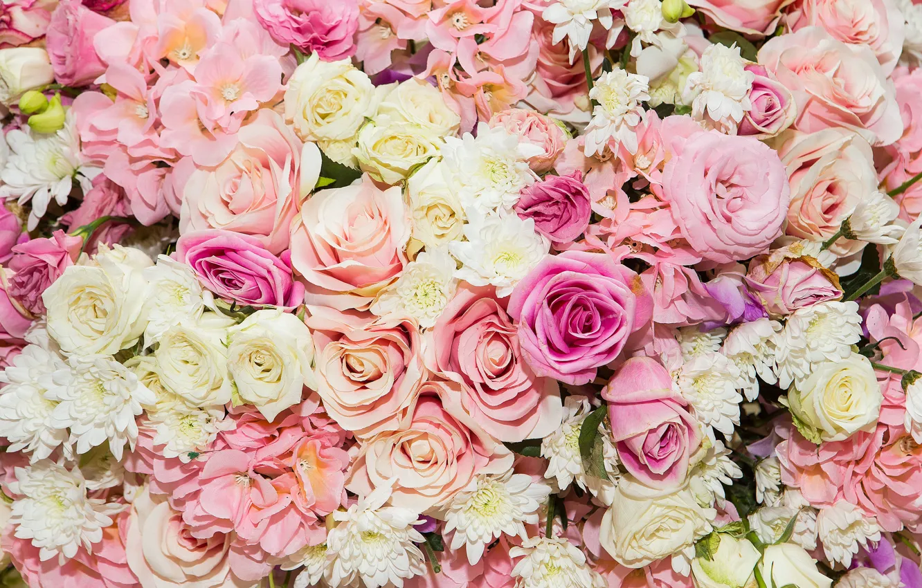Photo wallpaper flowers, background, roses, pink, buds, pink, flowers, roses