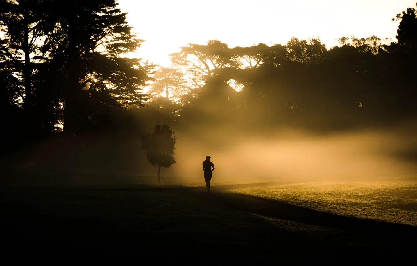 Photo wallpaper fog, morning, running