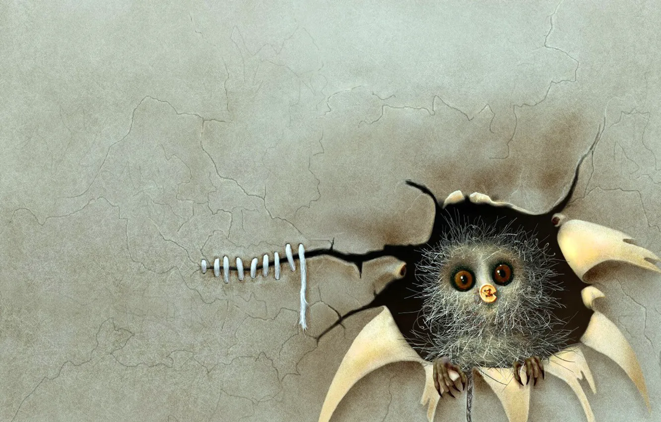 Photo wallpaper interest, eyes, animal