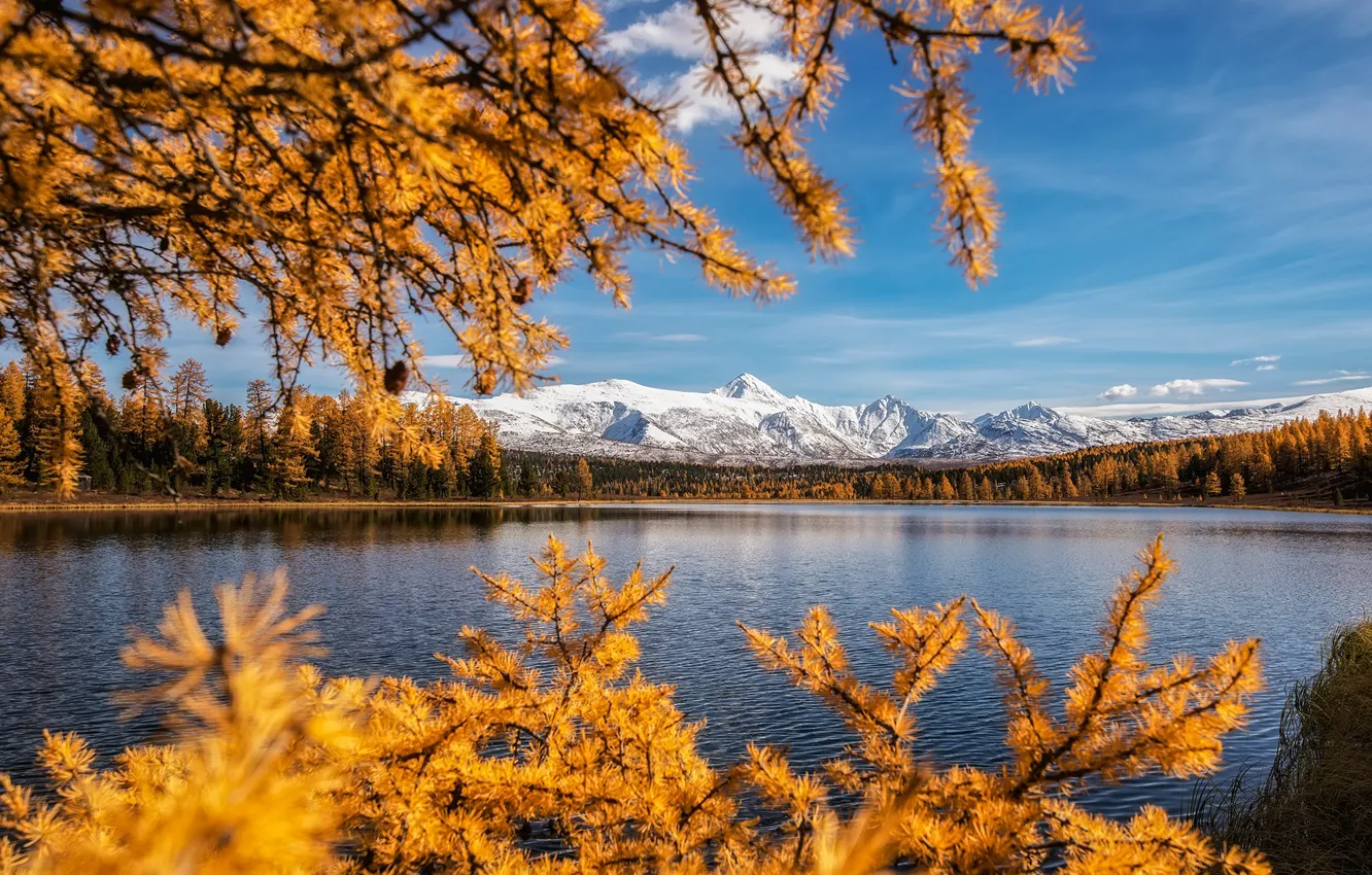 Photo wallpaper autumn, forest, landscape, mountains, branches, nature, lake, shore