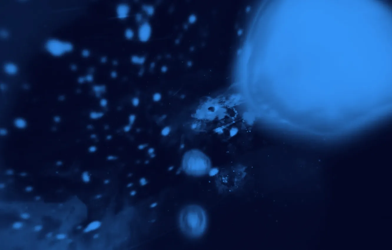 Photo wallpaper water, blue, abstraction