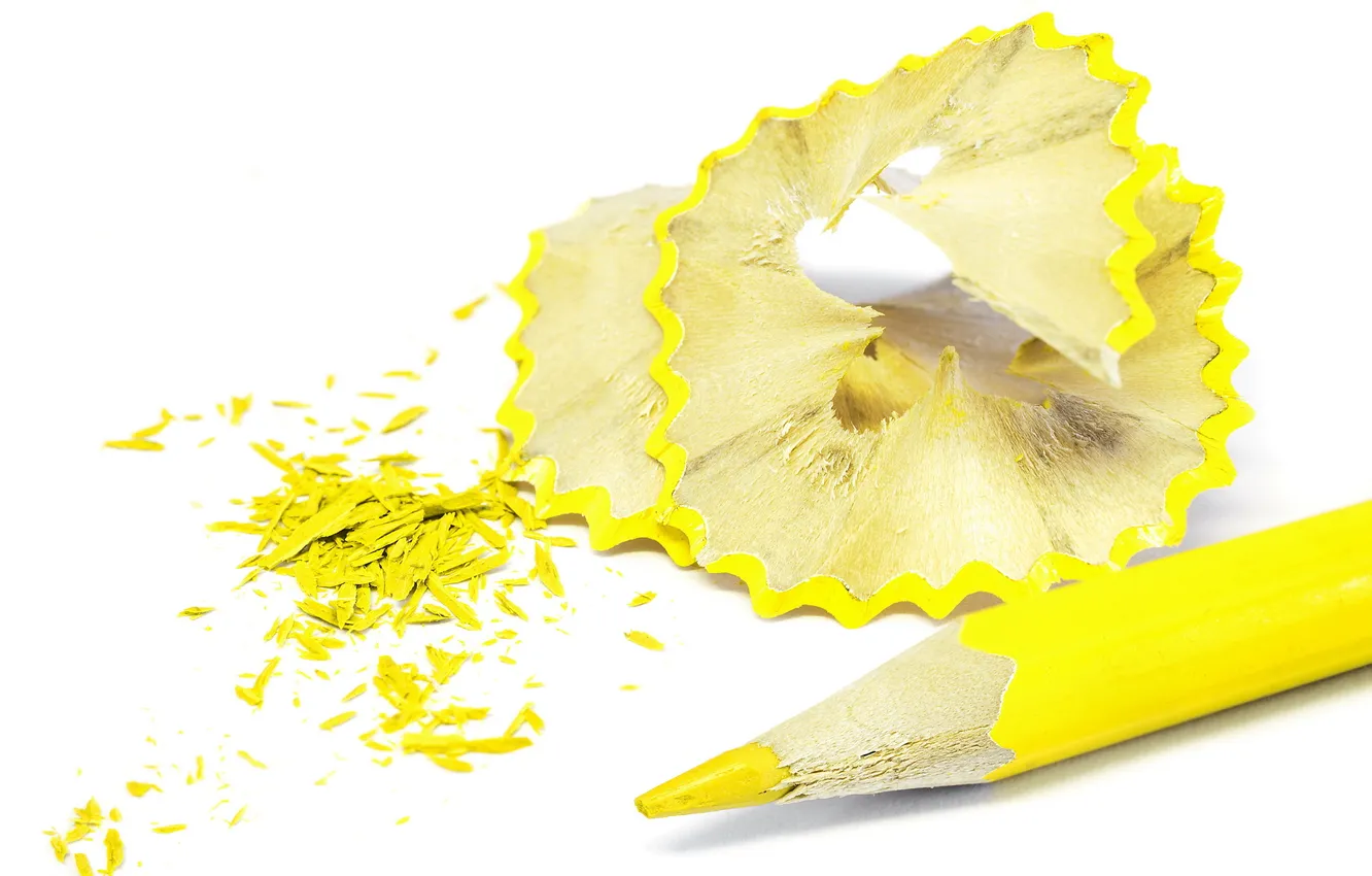 Photo wallpaper macro, color, pencils