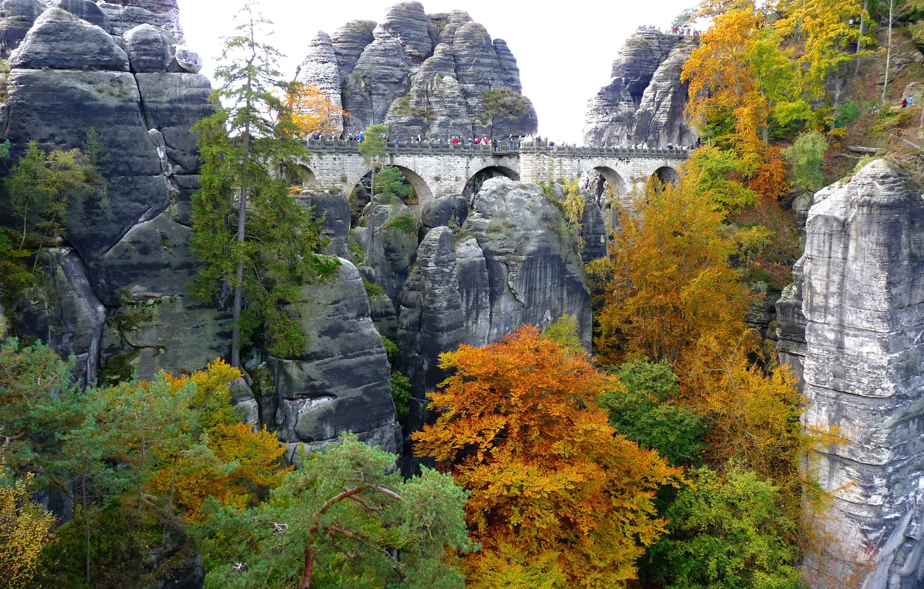 Photo wallpaper trees, bridge, stones, people, rocks, foliage, arched, yellow-green