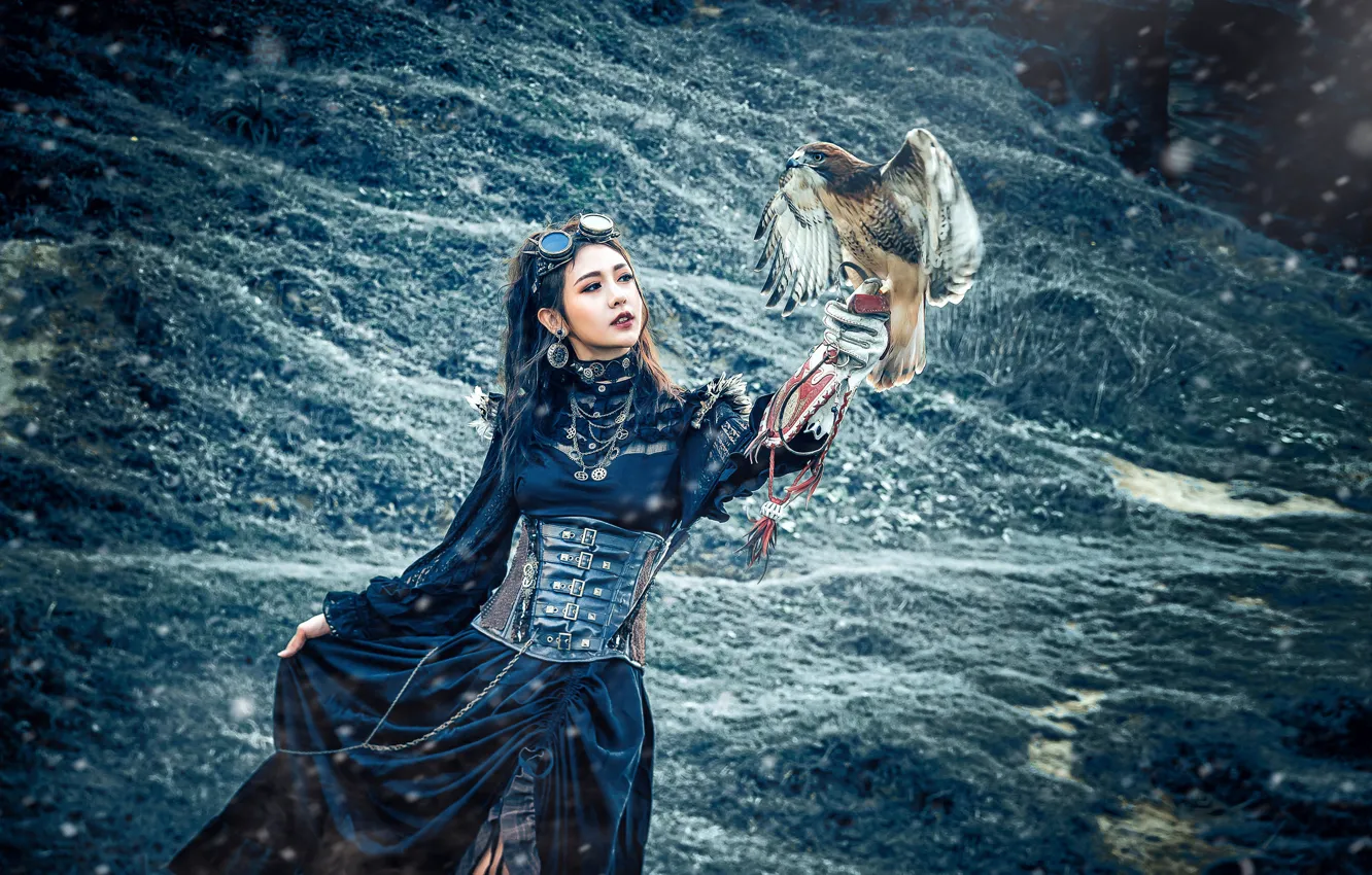 Photo wallpaper girl, nature, style, bird, Asian, Falcon
